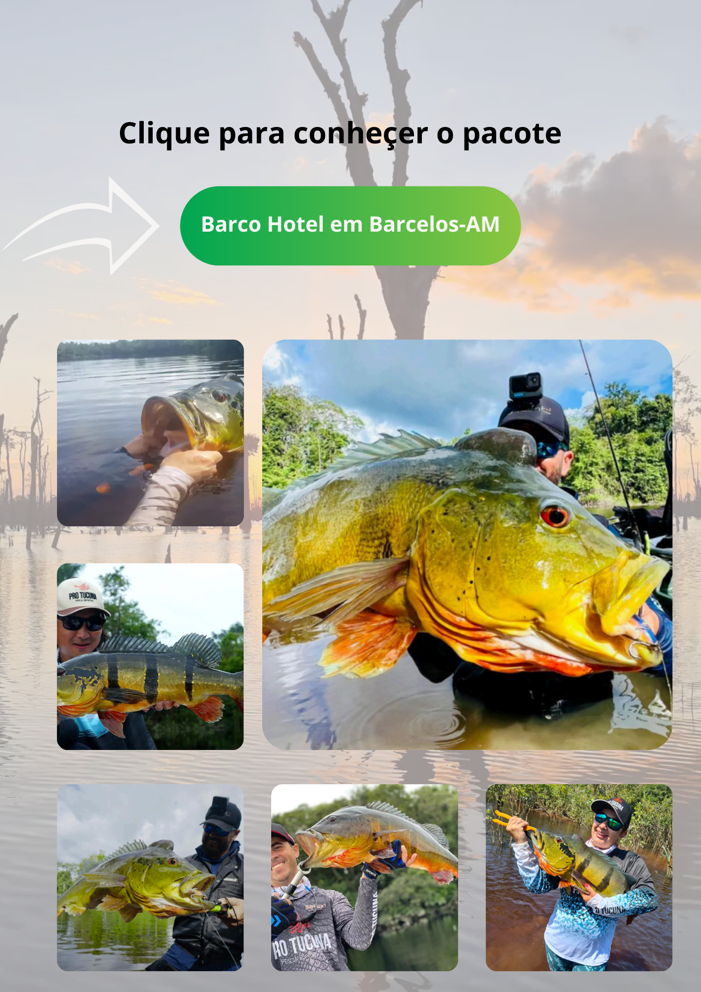 Barco Hotel em Barcelos - AM