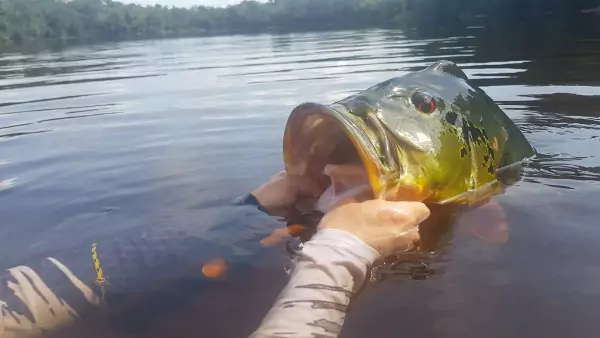 Pacote de Pesca na Amazônia